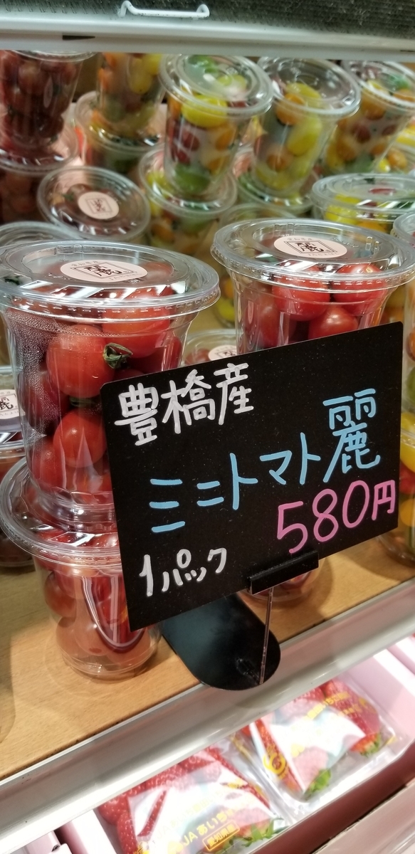 f:id:hamanaseikei:20190518153716j:plain
