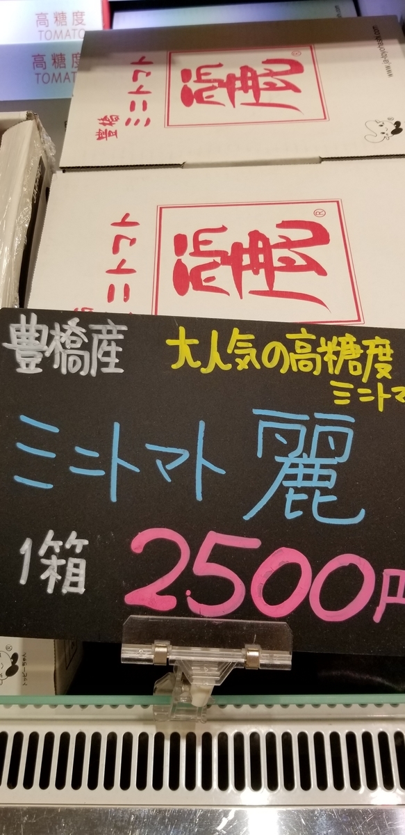 f:id:hamanaseikei:20190518153814j:plain