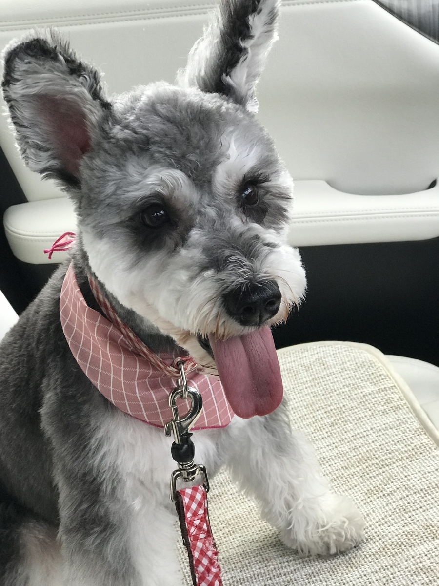 f:id:hamanaseikei:20190720203049j:plain f:id:hamanaseikei:20190720203049j:plain