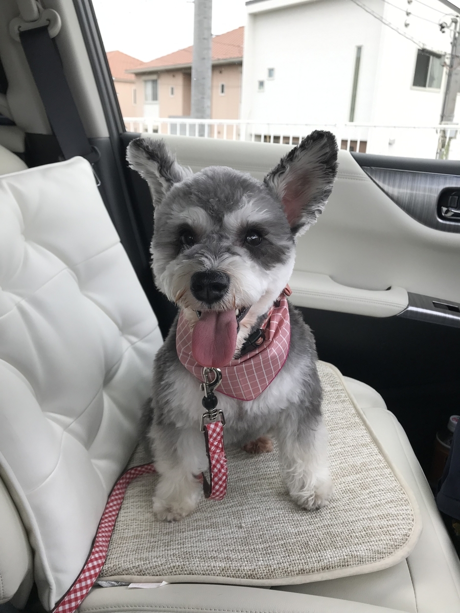 f:id:hamanaseikei:20190720203148j:plain f:id:hamanaseikei:20190720203148j:plain