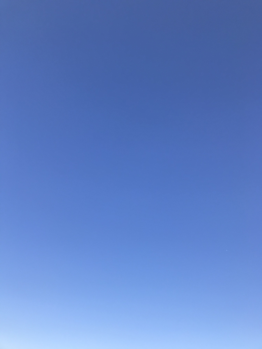f:id:hamanaseikei:20191124013746j:plain