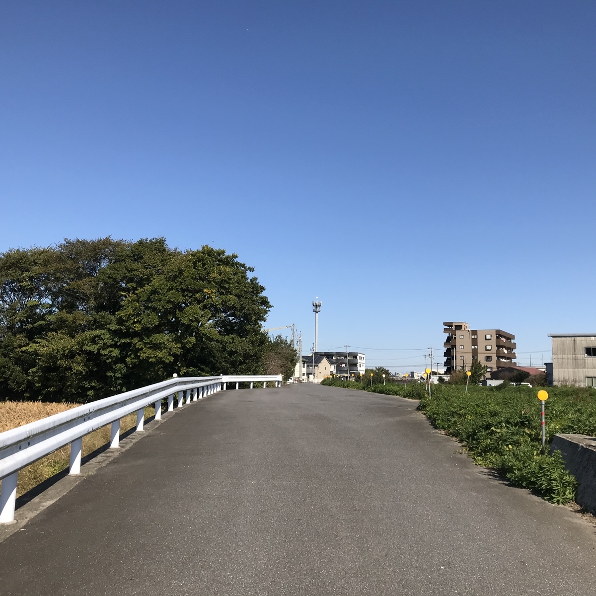 f:id:hamanaseikei:20191124013829j:plain