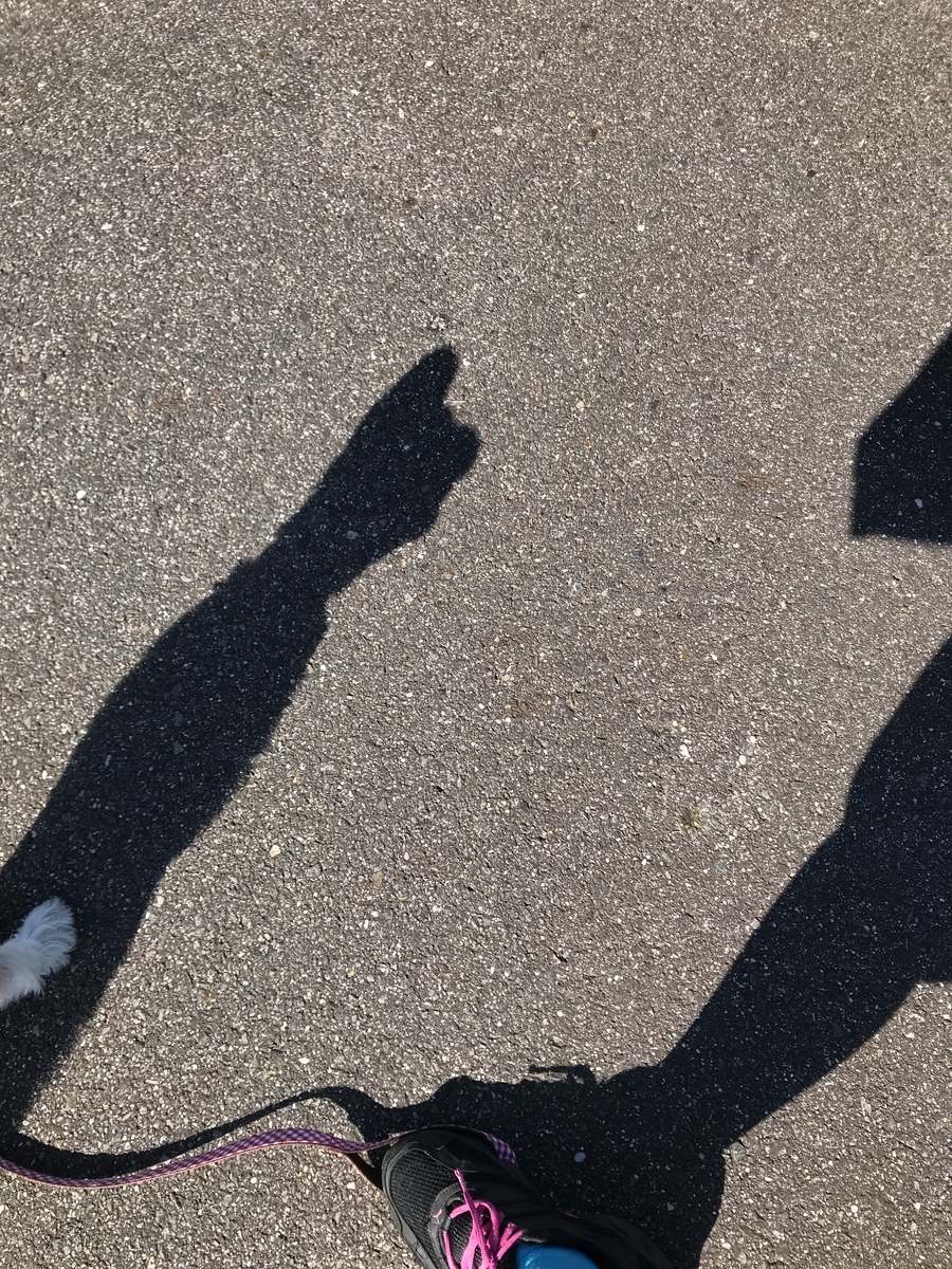f:id:hamanaseikei:20191124014040j:plain