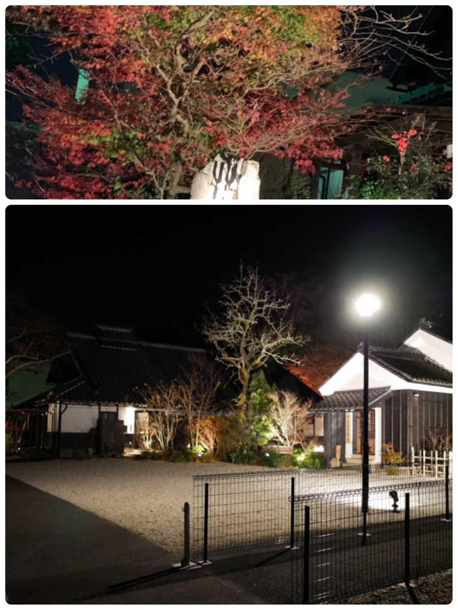 f:id:hamanaseikei:20191222213858j:plain