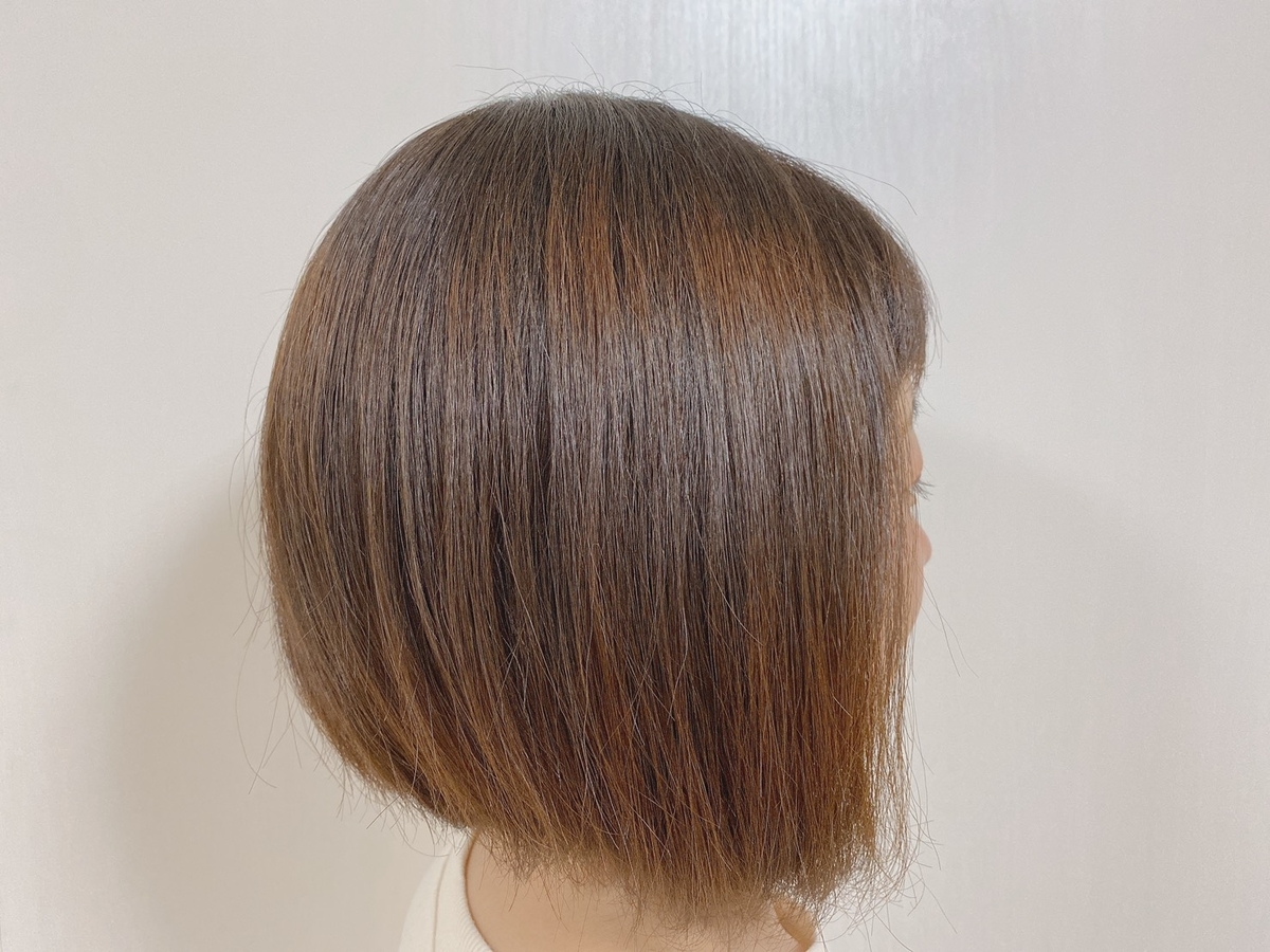 f:id:hamanaseikei:20201121150723j:plain