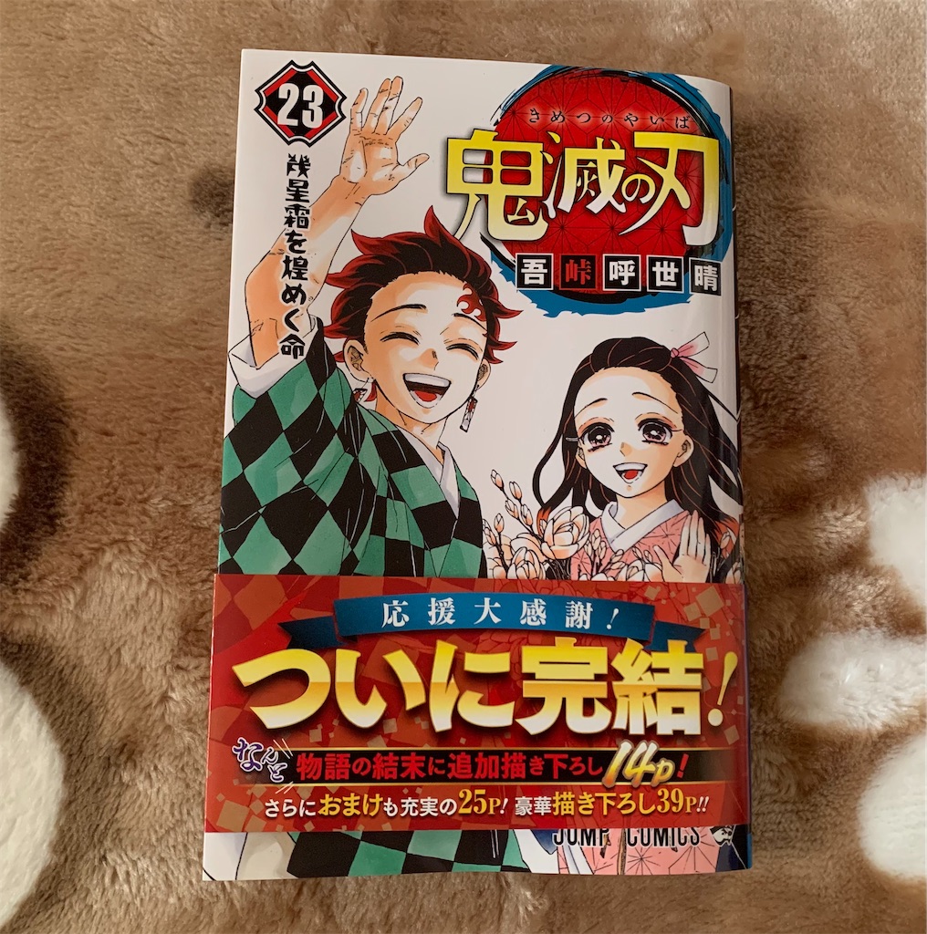 f:id:hamanaseikei:20201220160548j:image