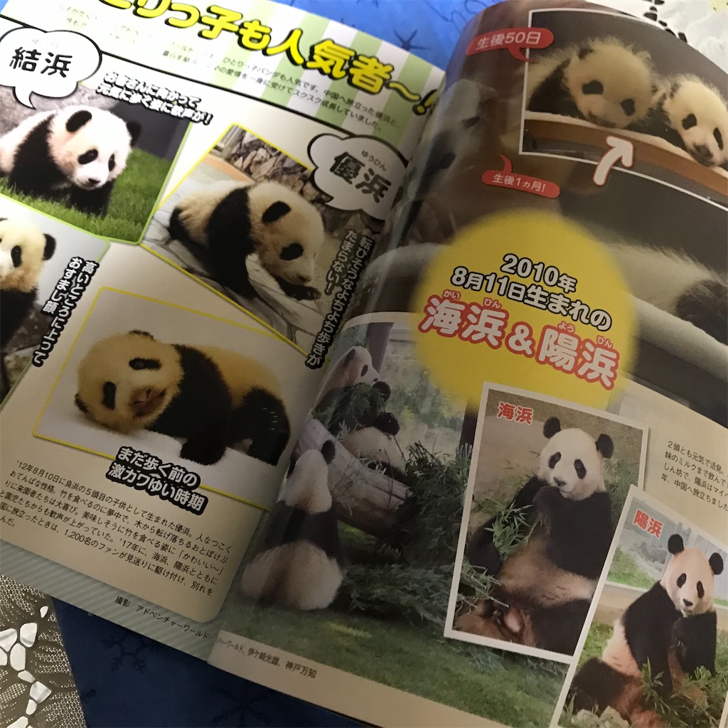f:id:hamanaseikei:20210314014003j:image f:id:hamanaseikei:20210314014003j:image