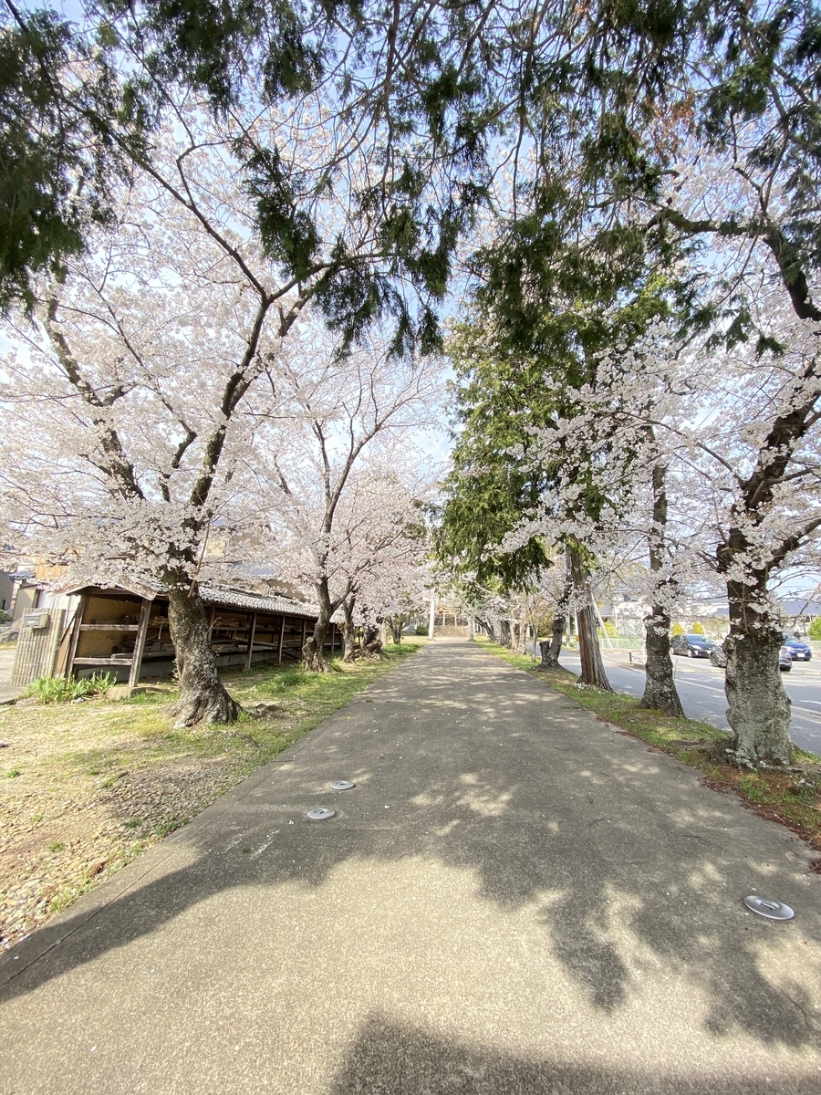 f:id:hamanaseikei:20210327160532j:plain