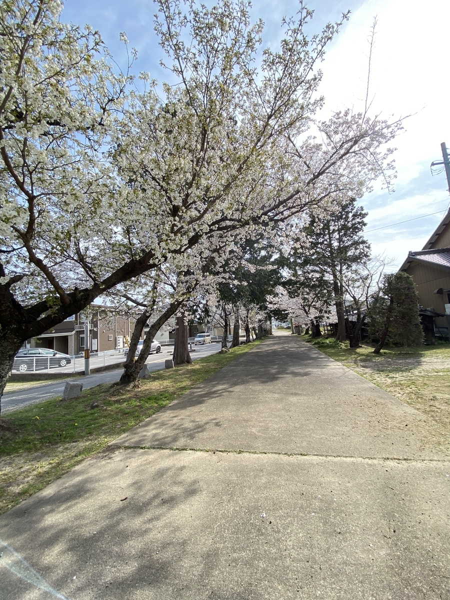 f:id:hamanaseikei:20210327160603j:plain