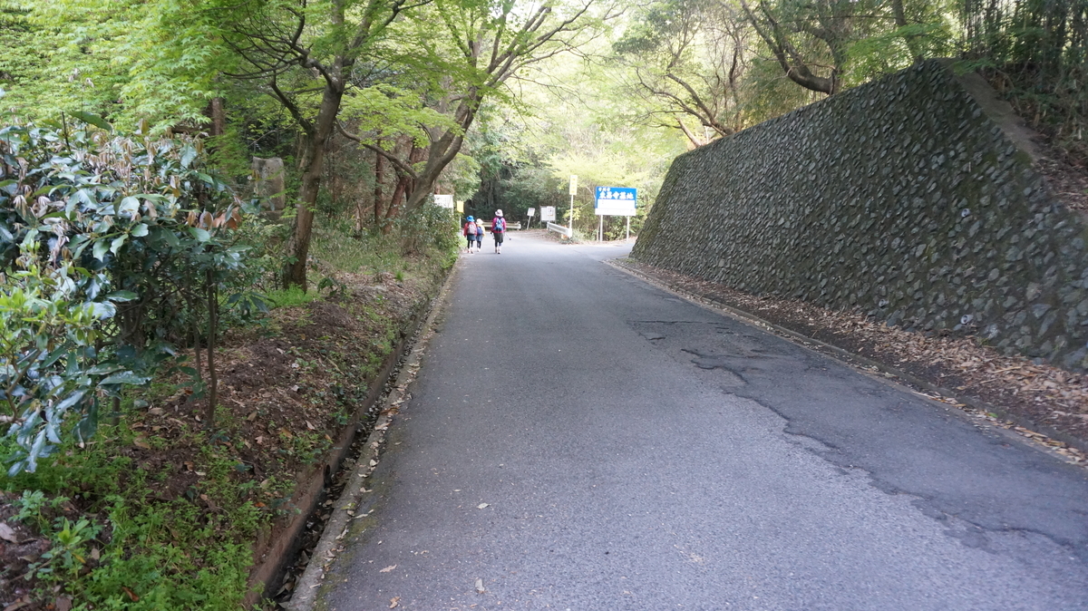 f:id:hamanaseikei:20210508205207j:plain