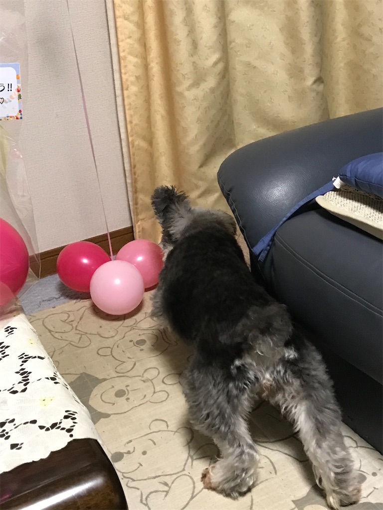f:id:hamanaseikei:20210724172015j:image f:id:hamanaseikei:20210724172015j:image