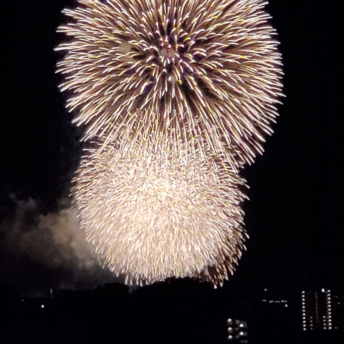 f:id:hamanaseikei:20211127184719j:plain
