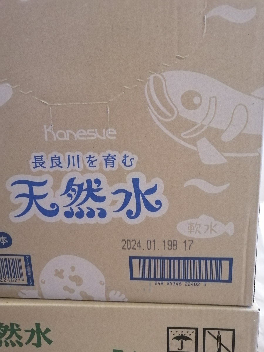 f:id:hamanaseikei:20220130100422j:plain