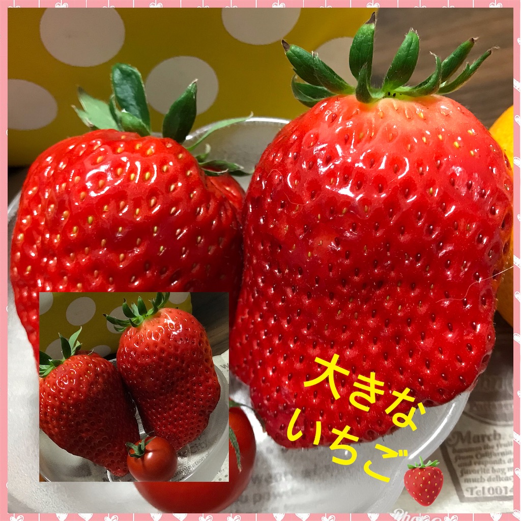 f:id:hamanaseikei:20220220020158j:image