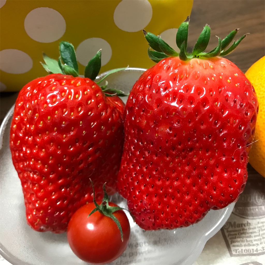 f:id:hamanaseikei:20220220020558j:image