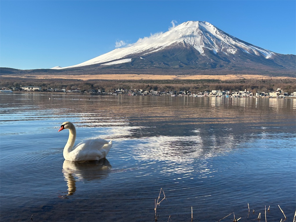 f:id:hamanaseikei:20230119145107j:image