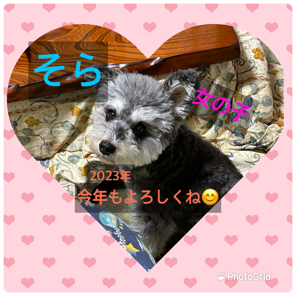 f:id:hamanaseikei:20230119154312p:image
