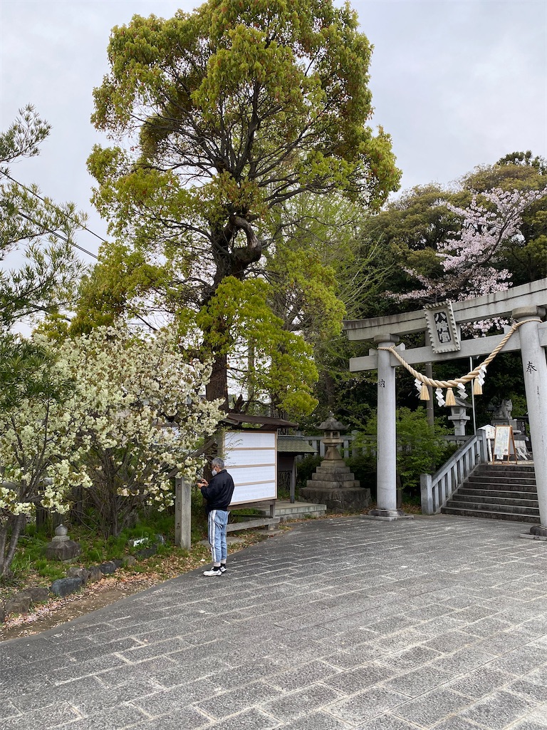 f:id:hamanaseikei:20250407002620j:image