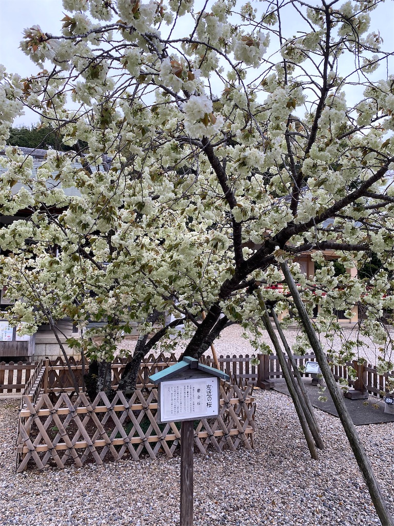 f:id:hamanaseikei:20250407002623j:image
