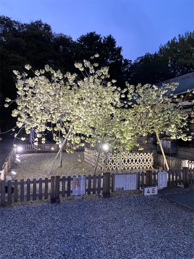 f:id:hamanaseikei:20250407002628j:image