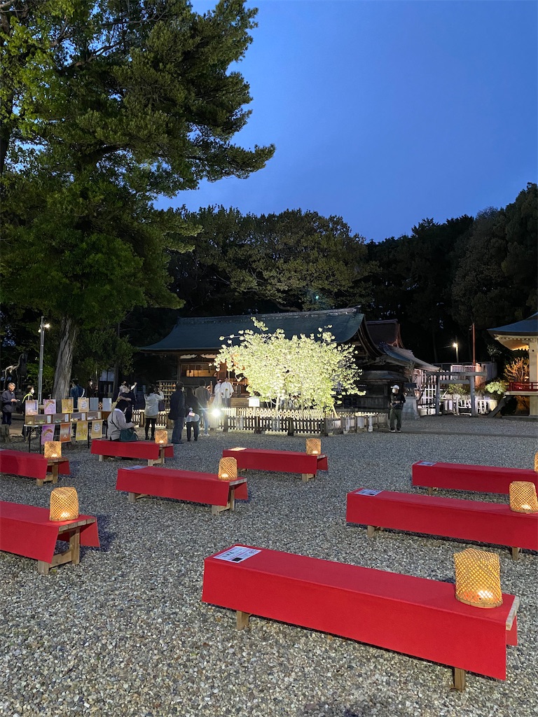 f:id:hamanaseikei:20250407002639j:image