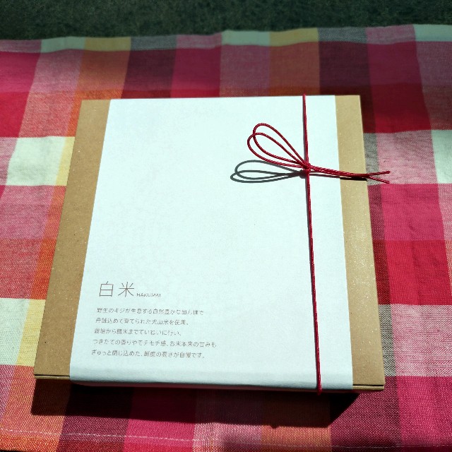 f:id:hamanaseikei:20250427220707j:image