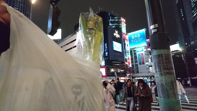 f:id:hamanasu201re:20191230092908j:image