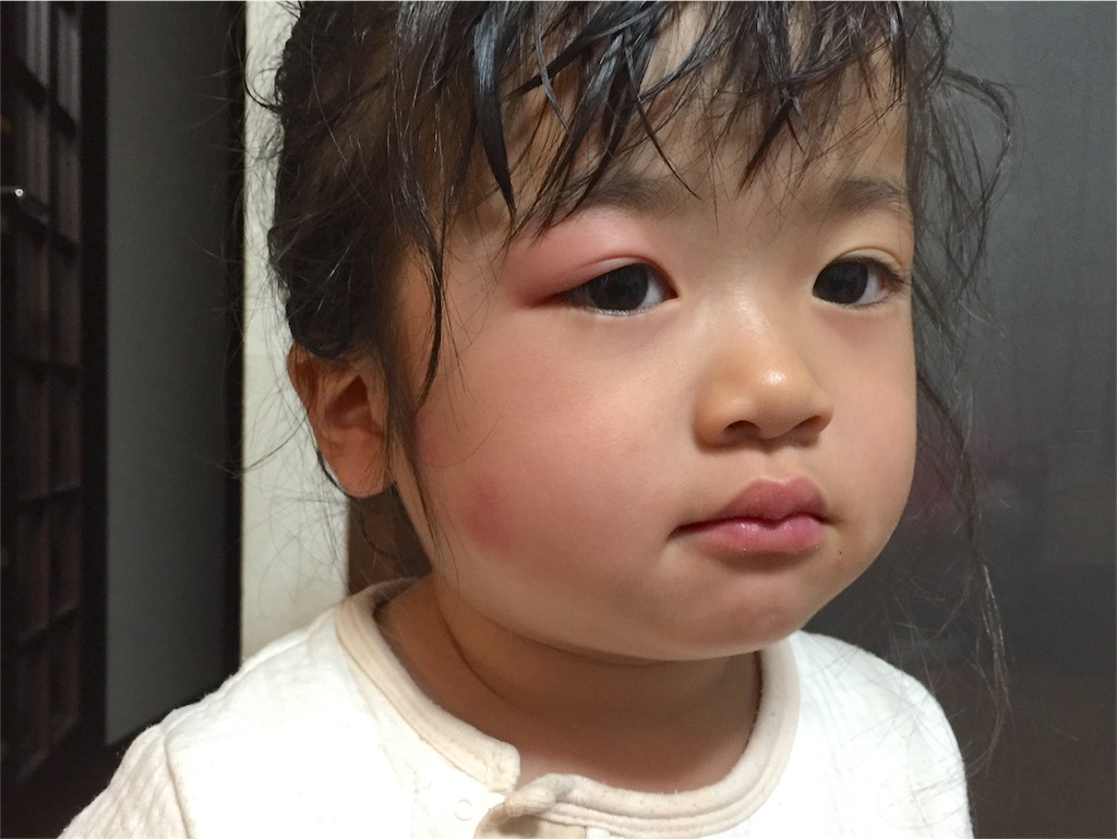 f:id:hamaneko13:20151101100628j:image