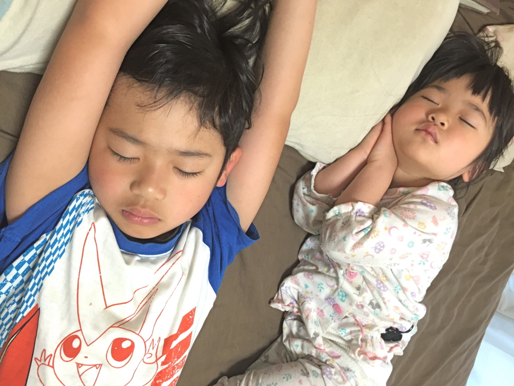 f:id:hamaneko13:20160630063148j:plain