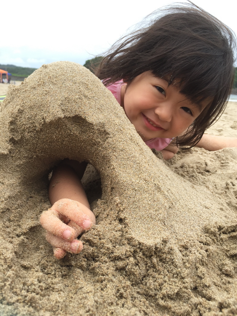 f:id:hamaneko13:20160730180453j:plain