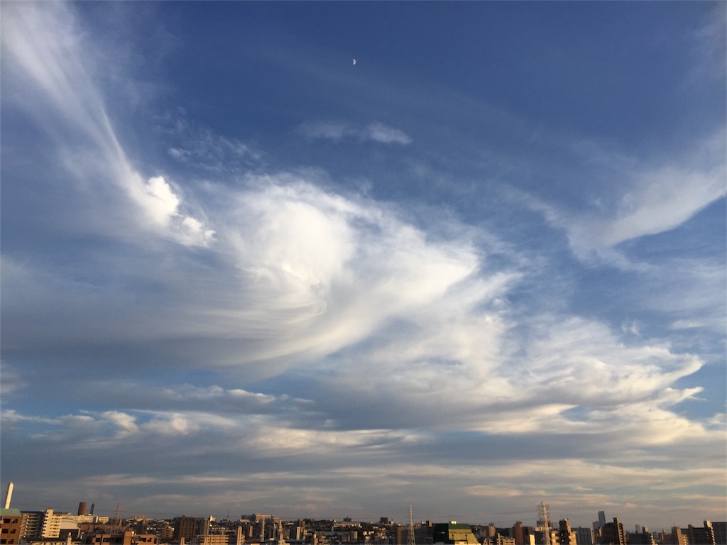 f:id:hamaneko13:20160816002024j:image