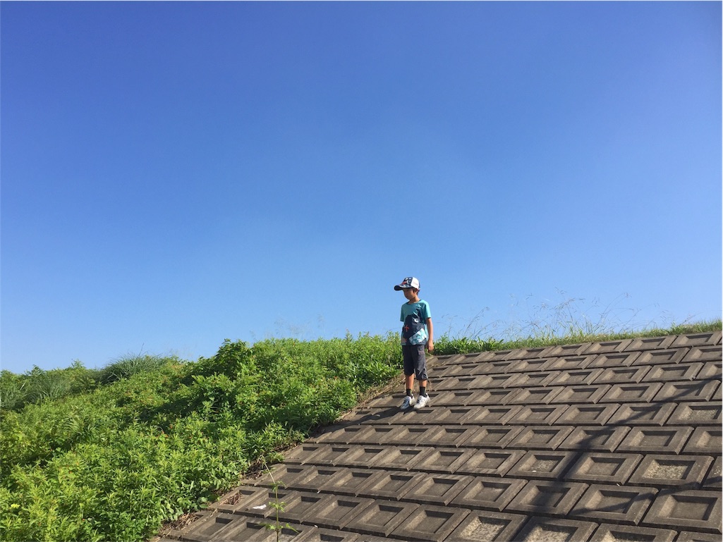 f:id:hamaneko13:20161120223919j:image