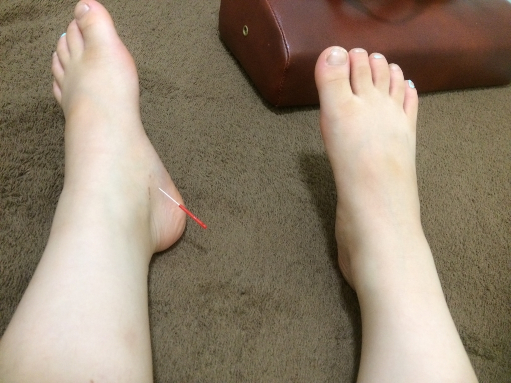 f:id:hamaneko13:20170601150530j:plain f:id:hamaneko13:20170601150530j:plain