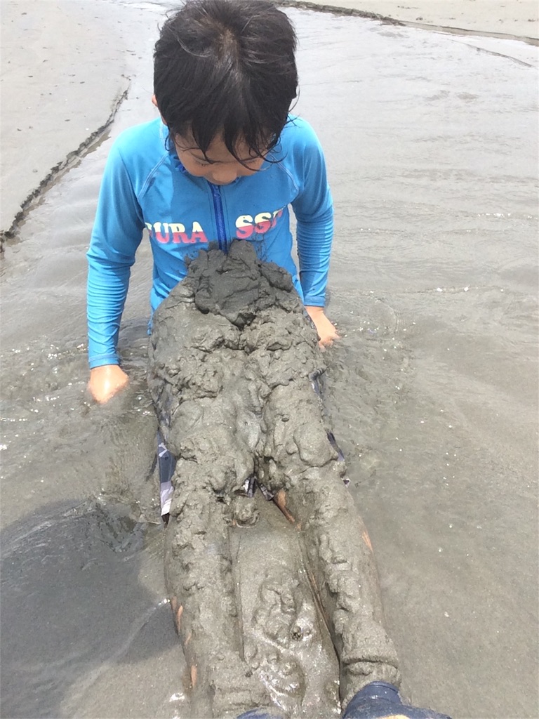 f:id:hamaneko13:20170706144314j:image