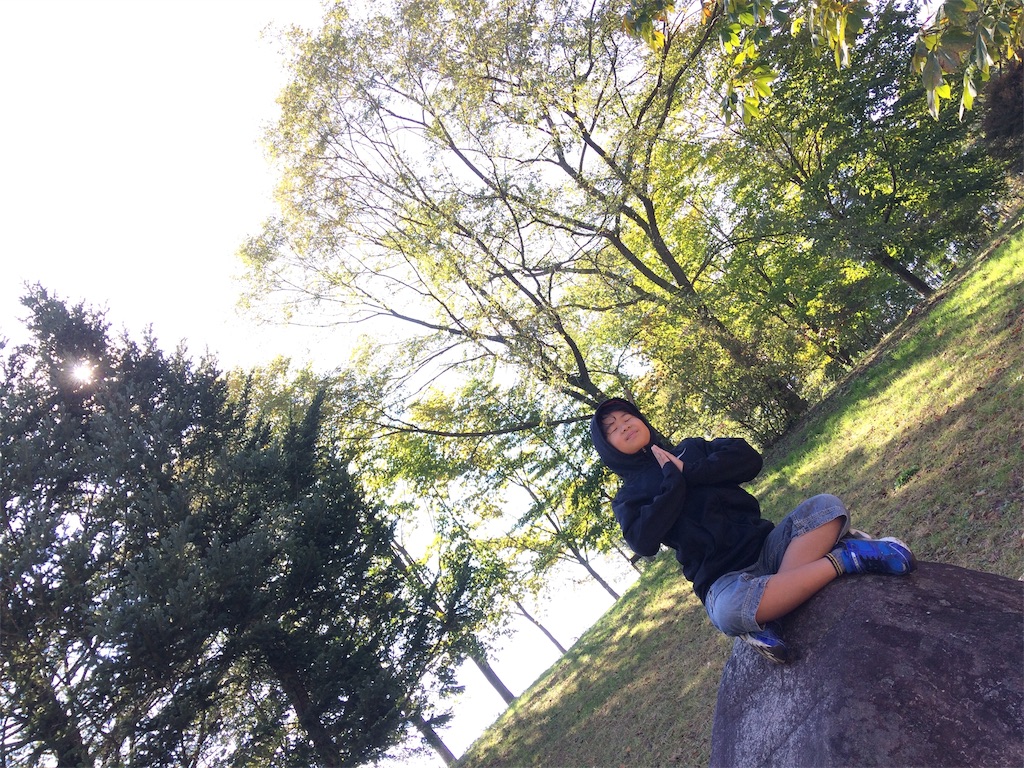 f:id:hamaneko13:20181128233518j:image