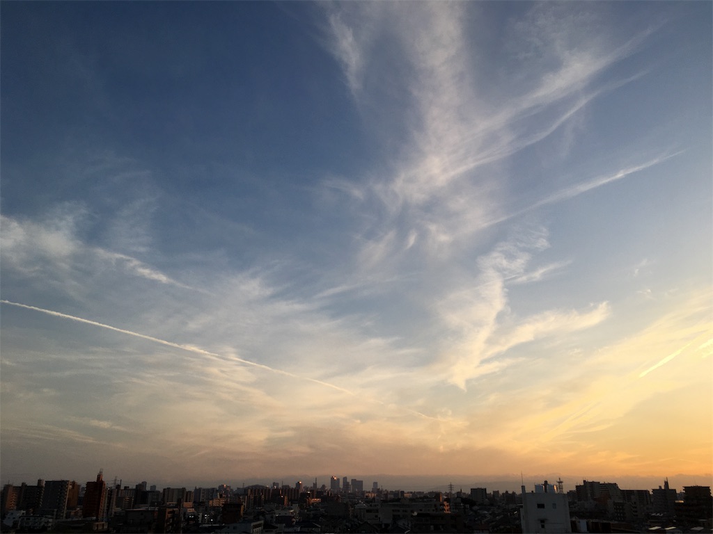 f:id:hamaneko13:20190608185621j:image f:id:hamaneko13:20190608185621j:image