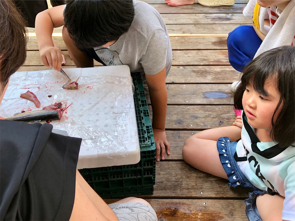 f:id:hamaneko13:20190815231043j:image