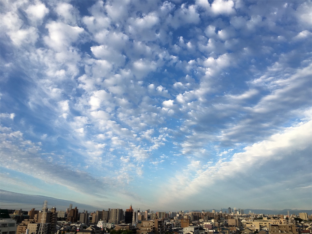 f:id:hamaneko13:20191011100343j:image f:id:hamaneko13:20191011100343j:image