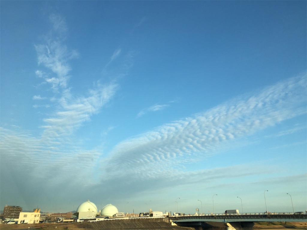 f:id:hamaneko13:20200311172712j:image