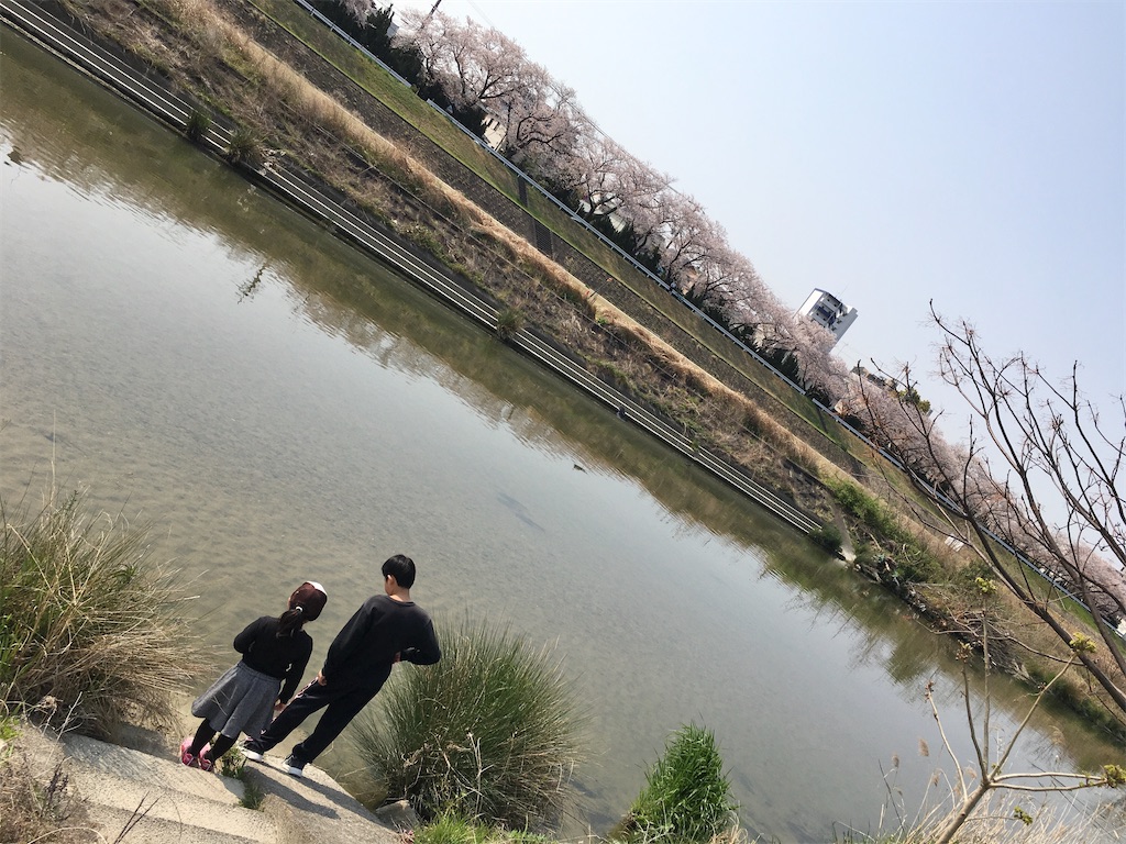 f:id:hamaneko13:20200410172233j:image