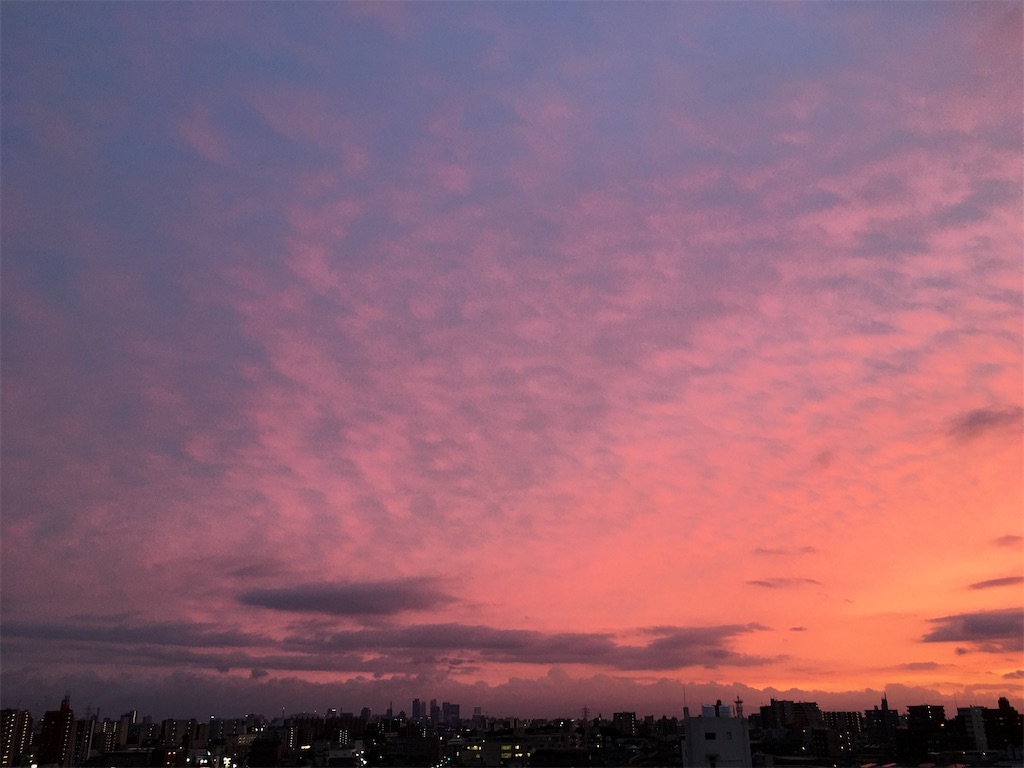 f:id:hamaneko13:20200710154747j:image f:id:hamaneko13:20200710154747j:image