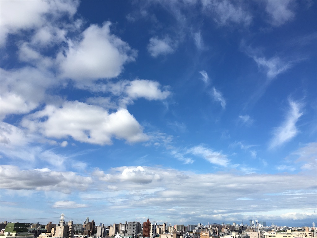 f:id:hamaneko13:20200804234005j:image