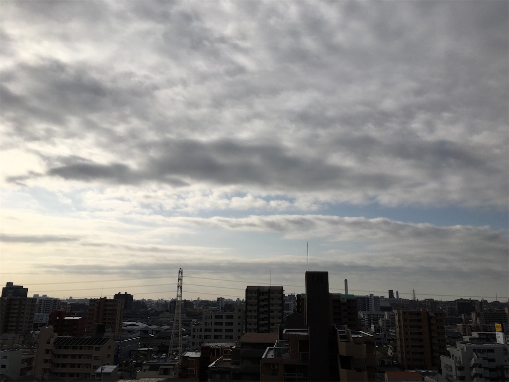 f:id:hamaneko13:20210311082552j:image f:id:hamaneko13:20210311082552j:image