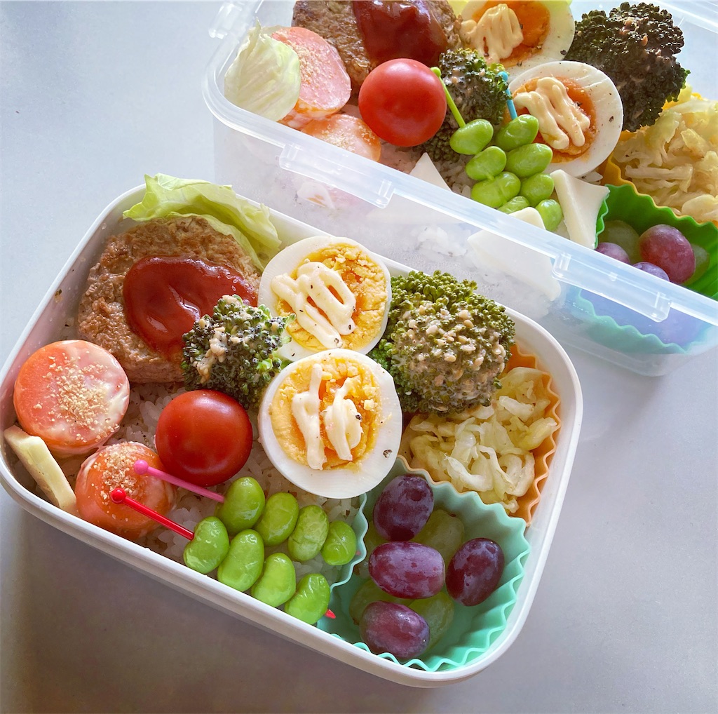 f:id:hamaneko13:20210420104726j:image f:id:hamaneko13:20210420104726j:image