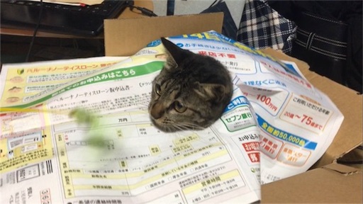 f:id:hamanokaze:20160918055730j:image
