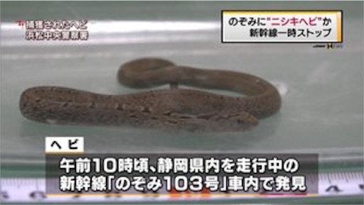 f:id:hamanokaze:20160926175459j:image