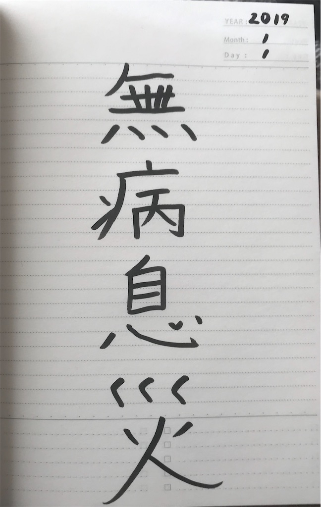 f:id:hamarisa:20190101140057j:image