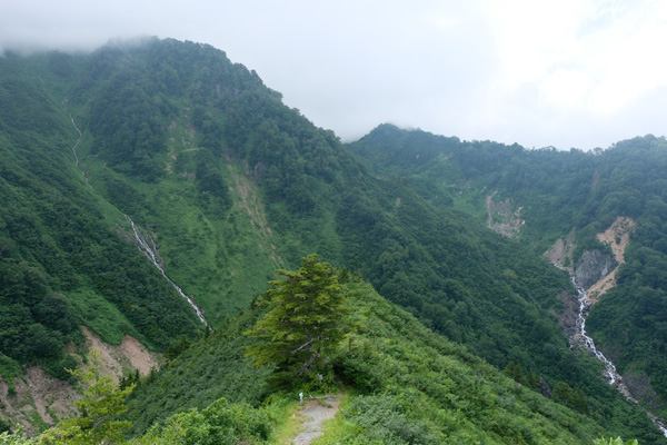 f:id:hamasakikun:20200729091230j:plain f:id:hamasakikun:20200729091230j:plain