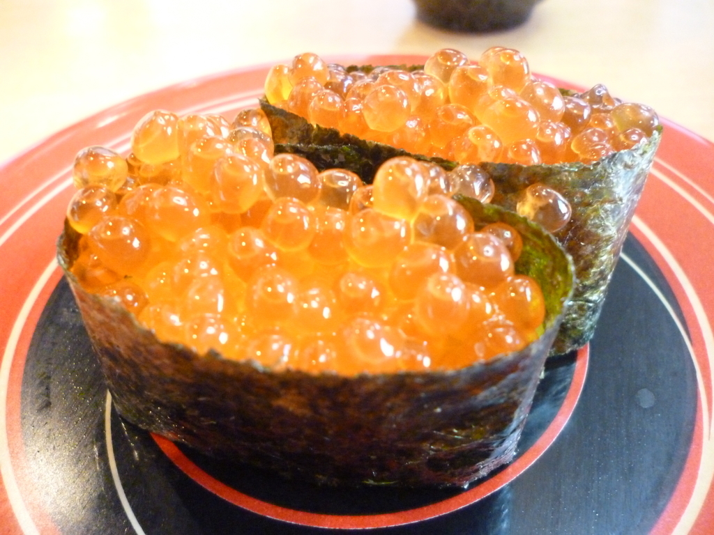 f:id:hamasansu:20190106230132j:plain