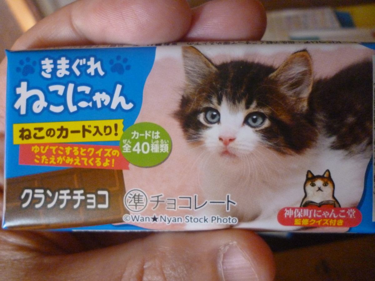 f:id:hamasansu:20190529064754j:plain f:id:hamasansu:20190529064754j:plain